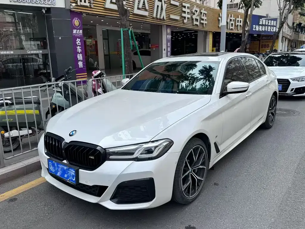 BMW 5 Series 2021 из CN, фото 1