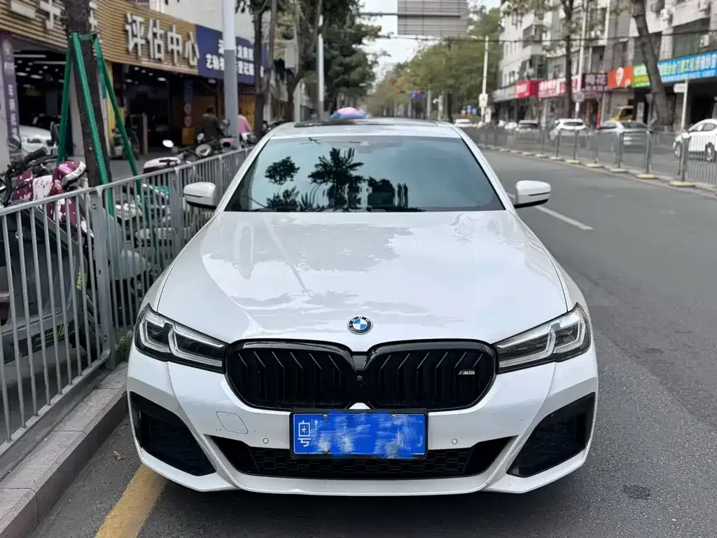 BMW 5 Series 2021 из CN, фото 2