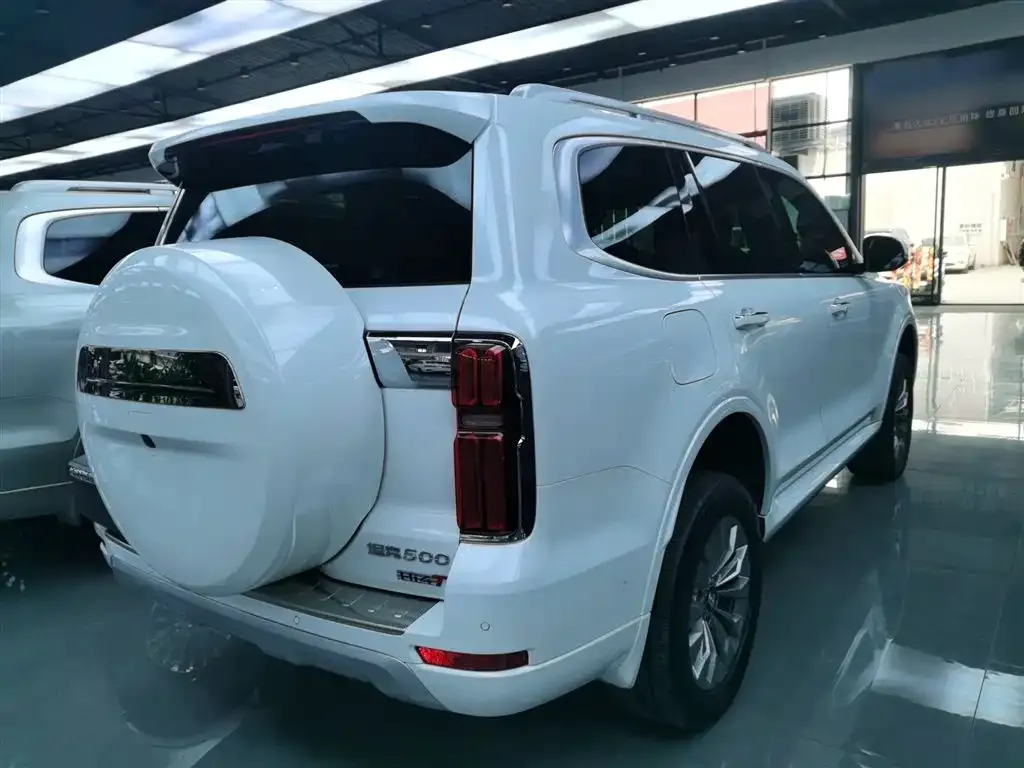 Tank 500 New Energy 2024 из CN, фото 2