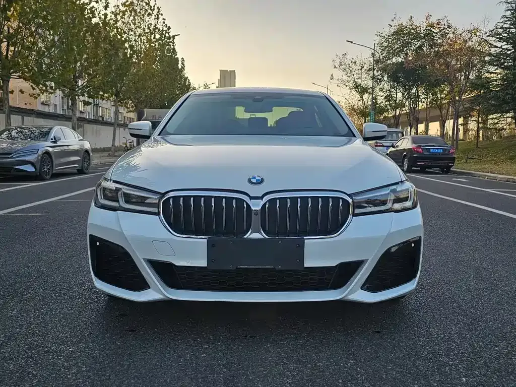 BMW 5 Series 2023 из CN, фото 1
