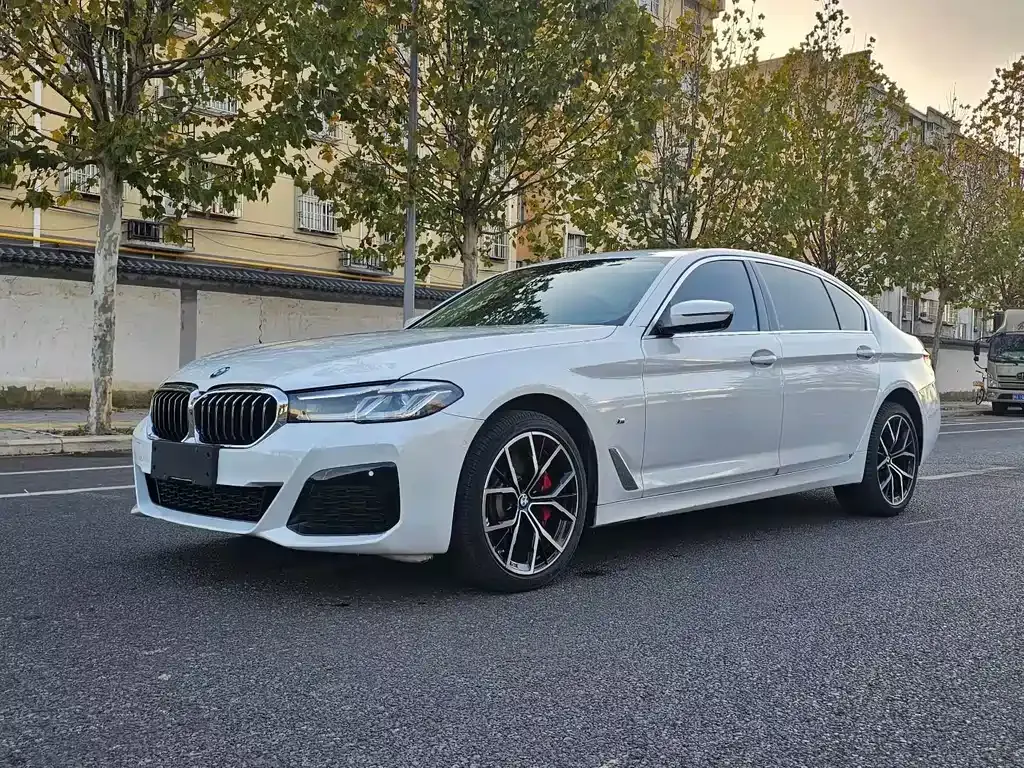 BMW 5 Series 2023 из CN, фото 9