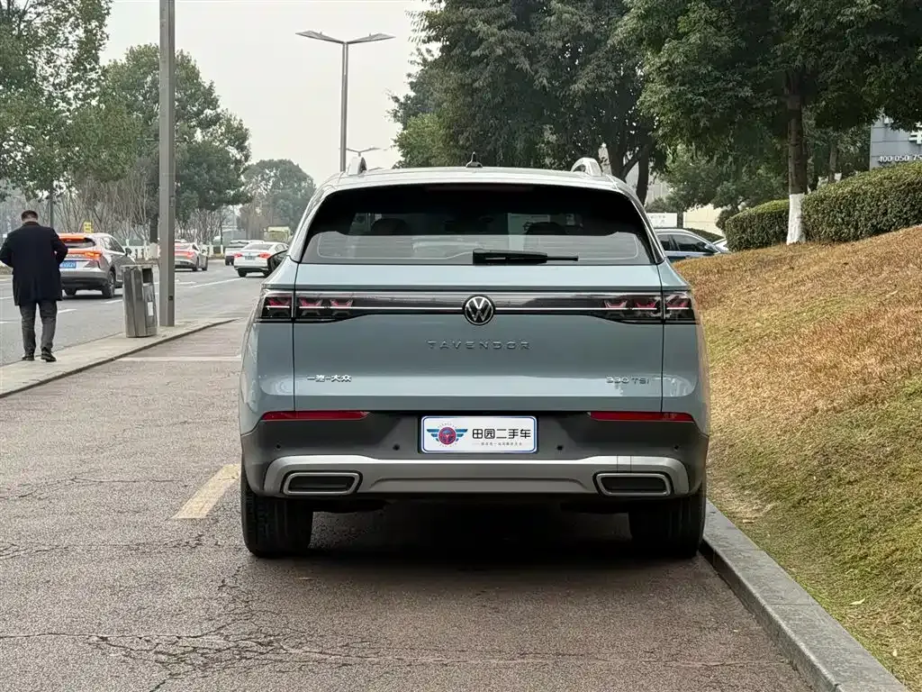 Volkswagen Tavendor 2025 из CN, фото 5