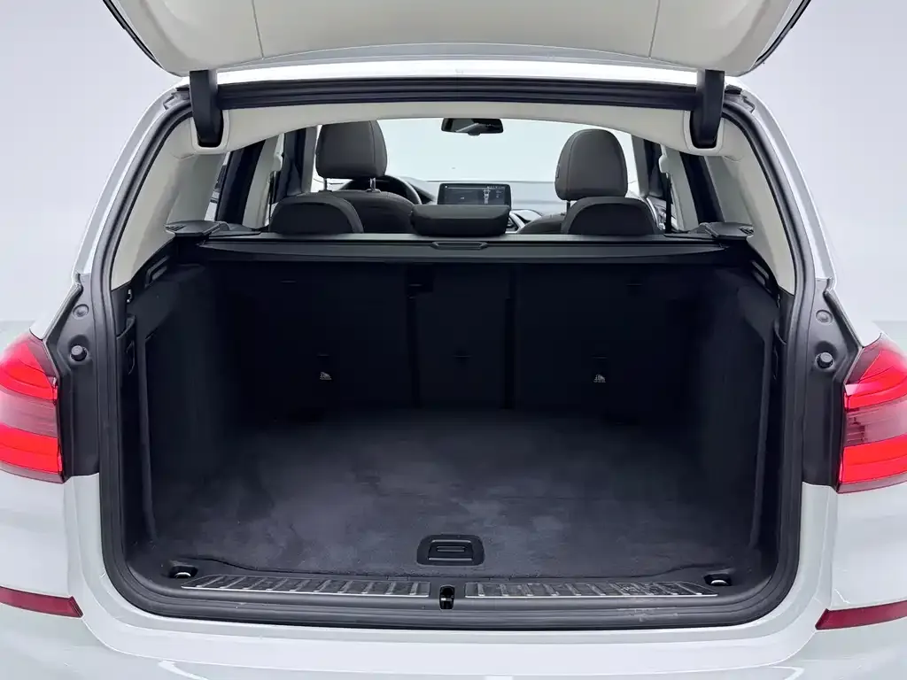 BMW X3 2021 из CN, фото 3