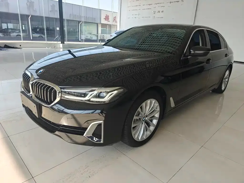 BMW 5 Series New Energy 2021 из CN, фото 1
