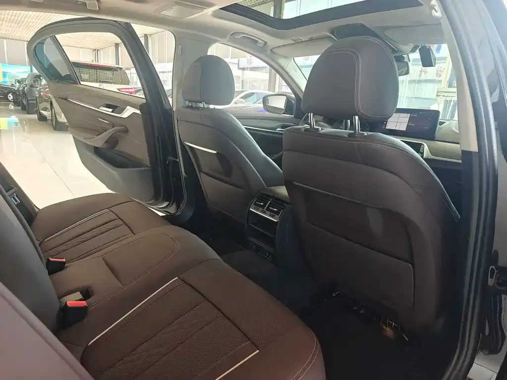 BMW 5 Series New Energy 2021 из CN, фото 4