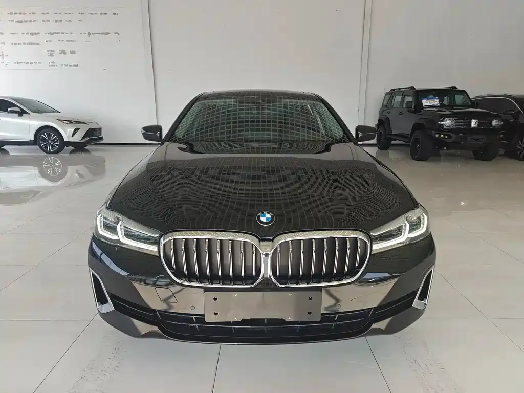 BMW 5 Series New Energy 2021 из CN, фото 9
