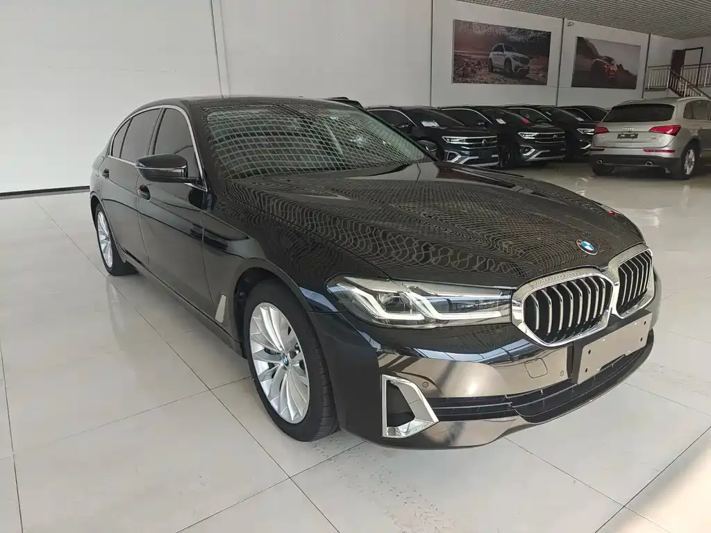 BMW 5 Series New Energy 2021 из CN, фото 2