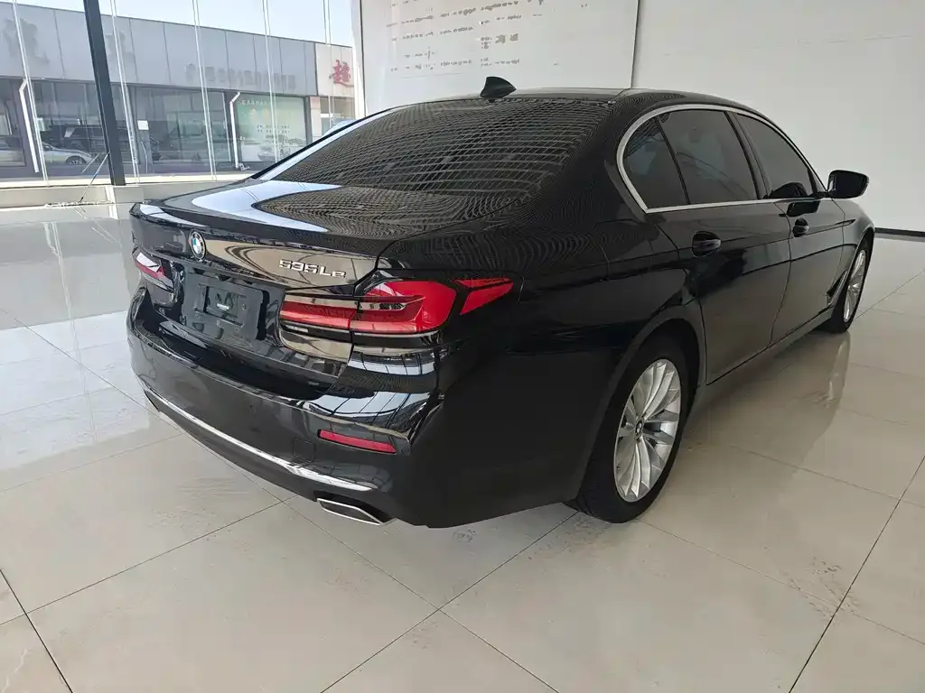 BMW 5 Series New Energy 2021 из CN, фото 10
