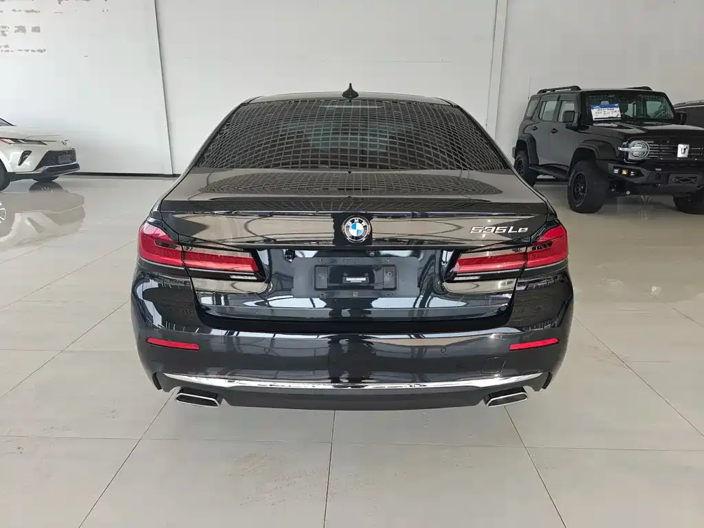 BMW 5 Series New Energy 2021 из CN, фото 3