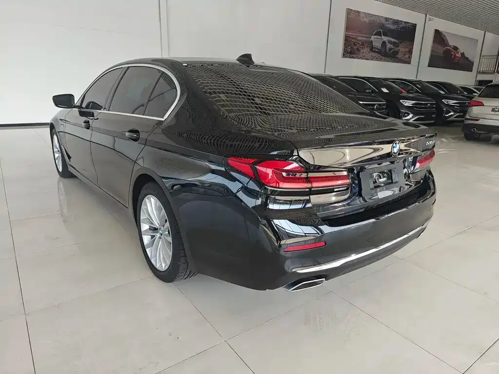 BMW 5 Series New Energy 2021 из CN, фото 7