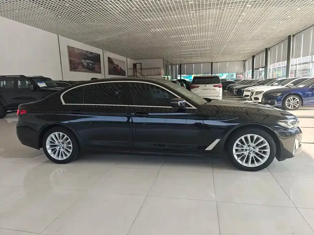 BMW 5 Series New Energy 2021 из CN, фото 6