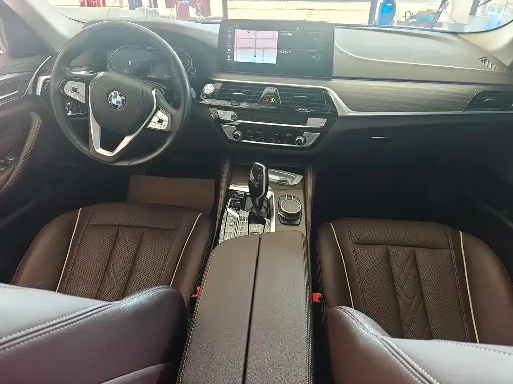 BMW 5 Series New Energy 2021 из CN, фото 5