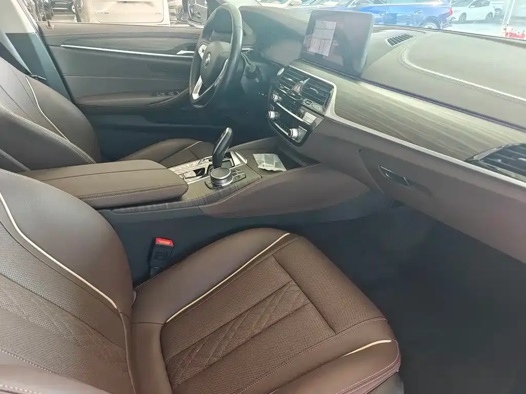 BMW 5 Series New Energy 2021 из CN, фото 8