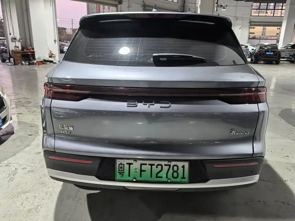 BYD Pro New Energy — фото 9