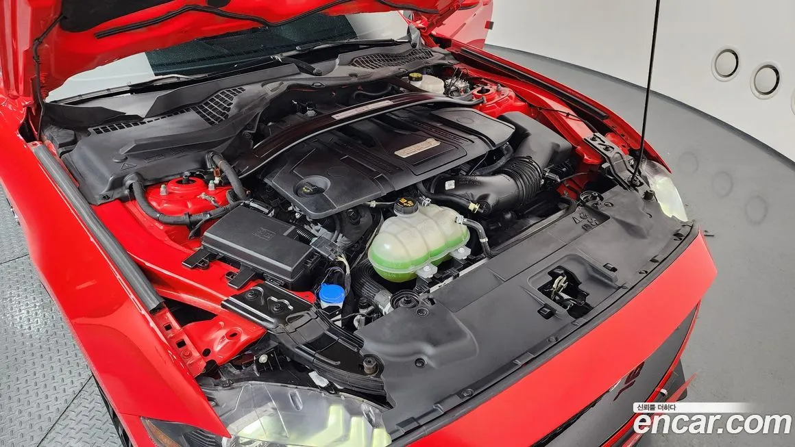 Ford Mustang 2022 из KR, фото 8
