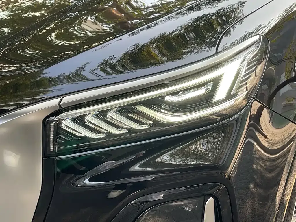 Hongqi HS5 2024 из CN, фото 9
