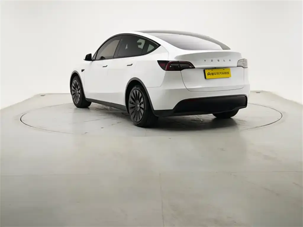 Tesla Model Y 2022 из CN, фото 6