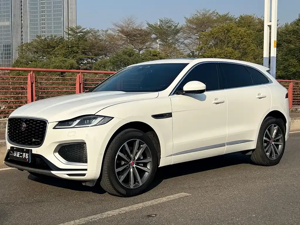 Jaguar F-PACE 2021 из CN, фото 9
