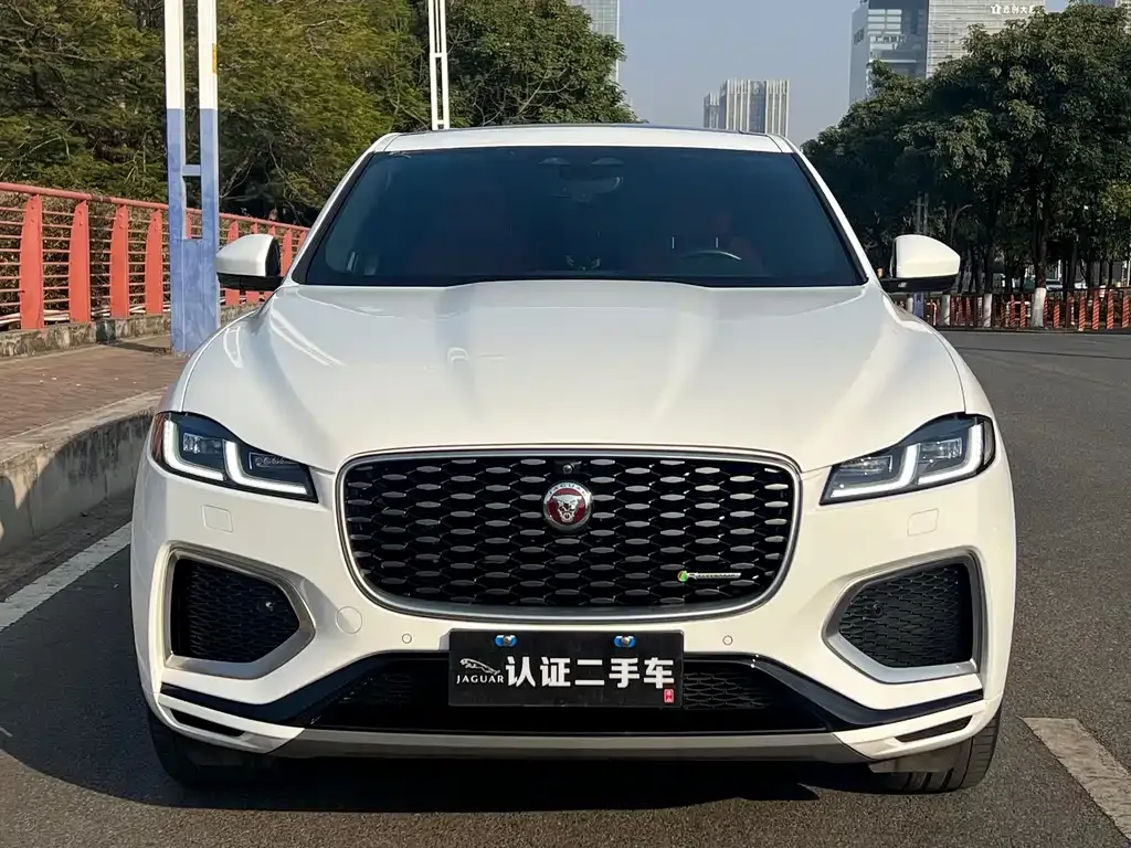 Jaguar F-PACE 2021 из CN, фото 6