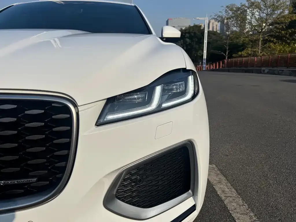 Jaguar F-PACE 2021 из CN, фото 3