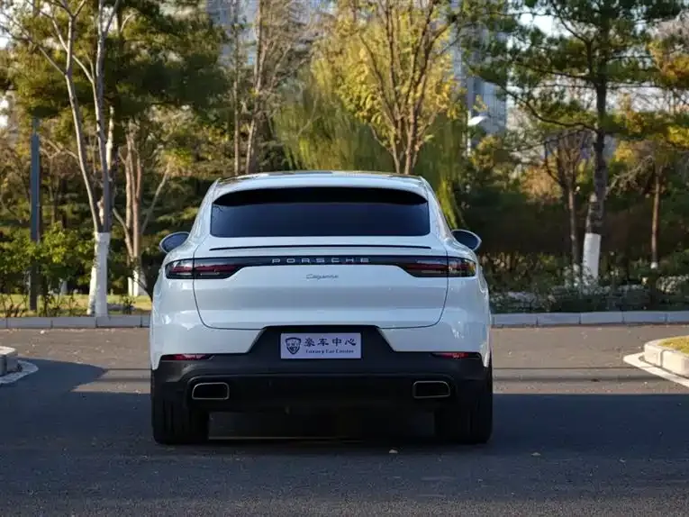 Porsche Cayenne 2022 из CN, фото 1