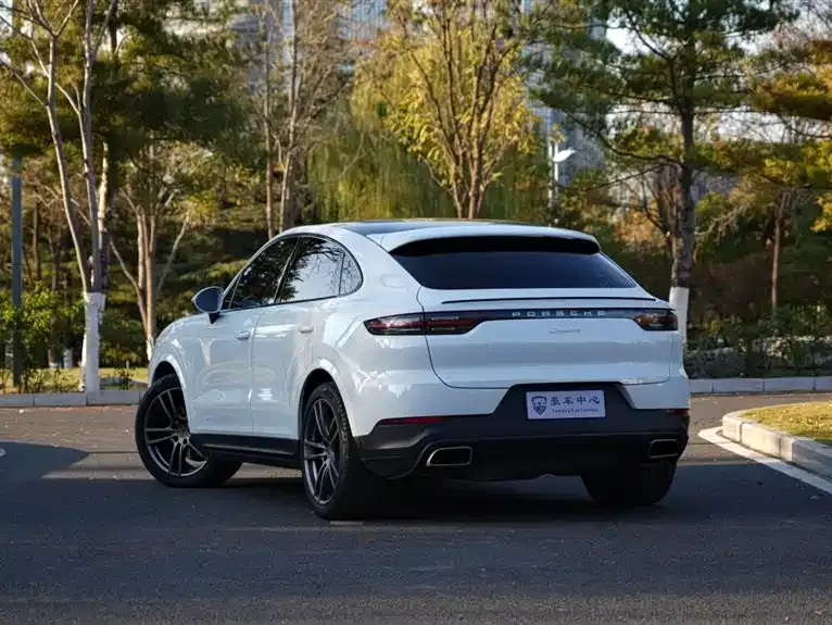 Porsche Cayenne 2022 из CN, фото 8