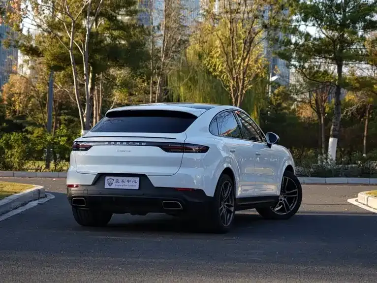 Porsche Cayenne 2022 из CN, фото 3