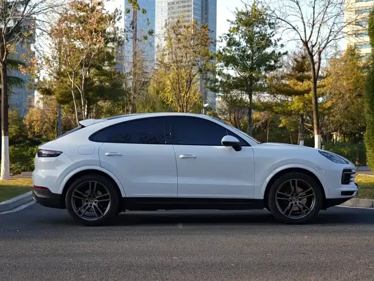 Porsche Cayenne 2022 из CN, фото 5