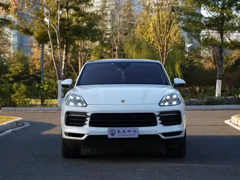 Porsche Cayenne 2022 из CN, фото 6