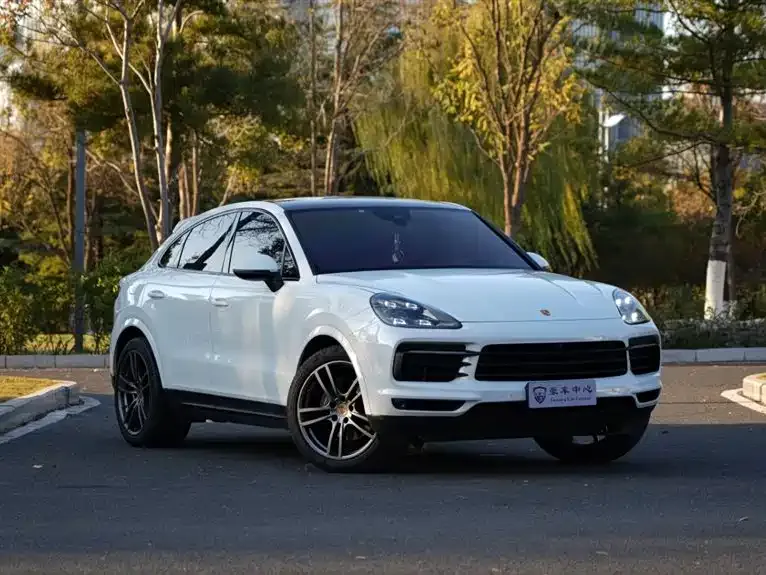 Porsche Cayenne 2022 из CN, фото 9
