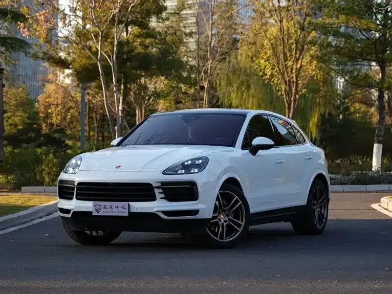 Porsche Cayenne 2022 из CN, фото 10