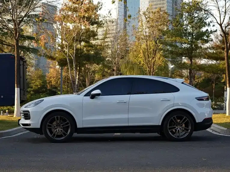 Porsche Cayenne 2022 из CN, фото 4