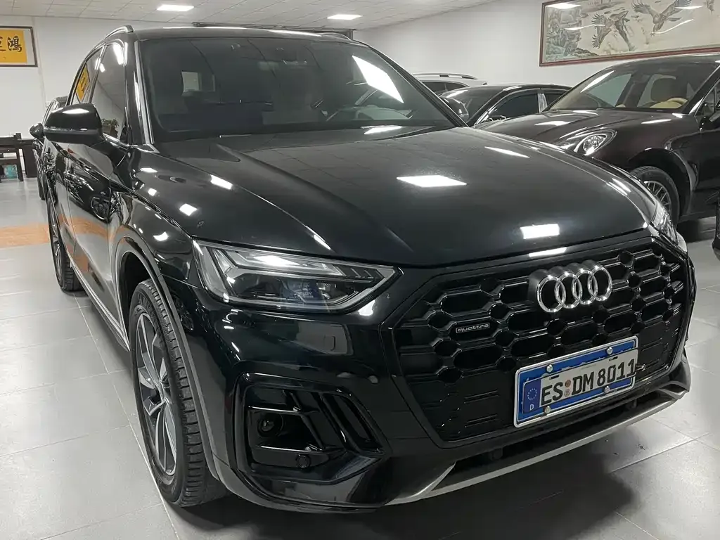 Audi Q5L 2023 из CN, фото 10
