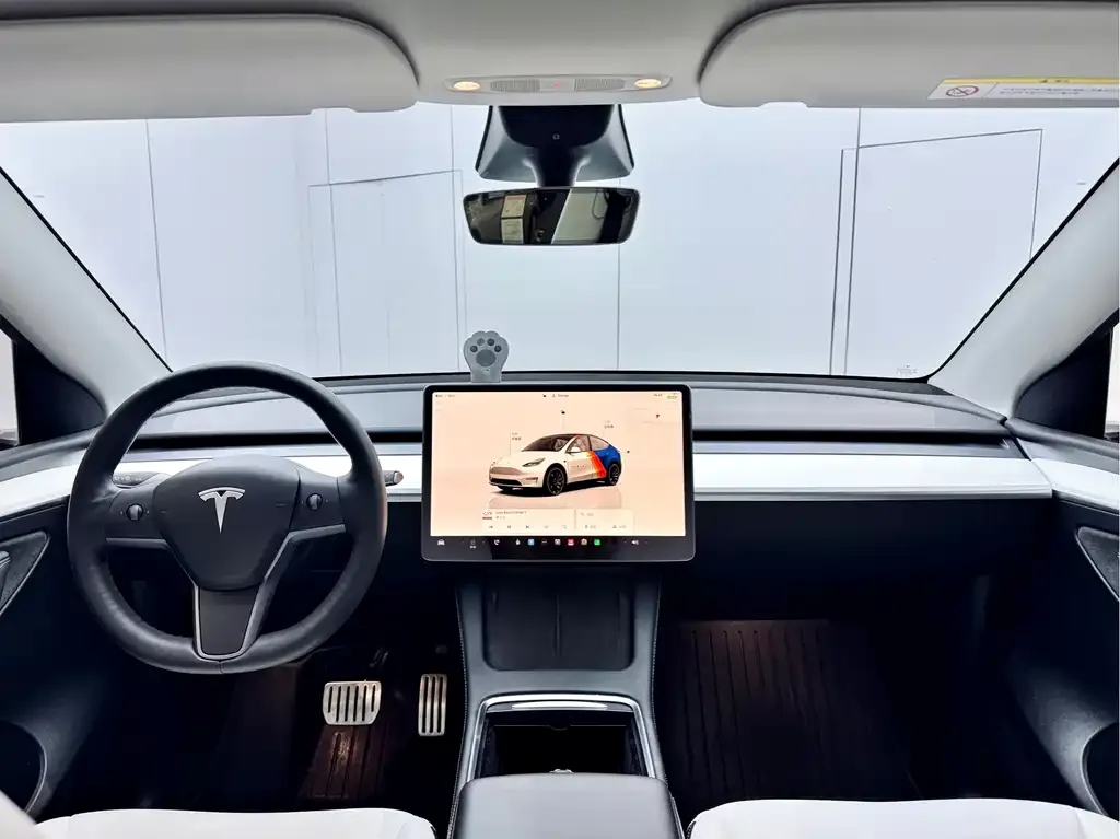 Tesla Model Y 2022 из CN, фото 10