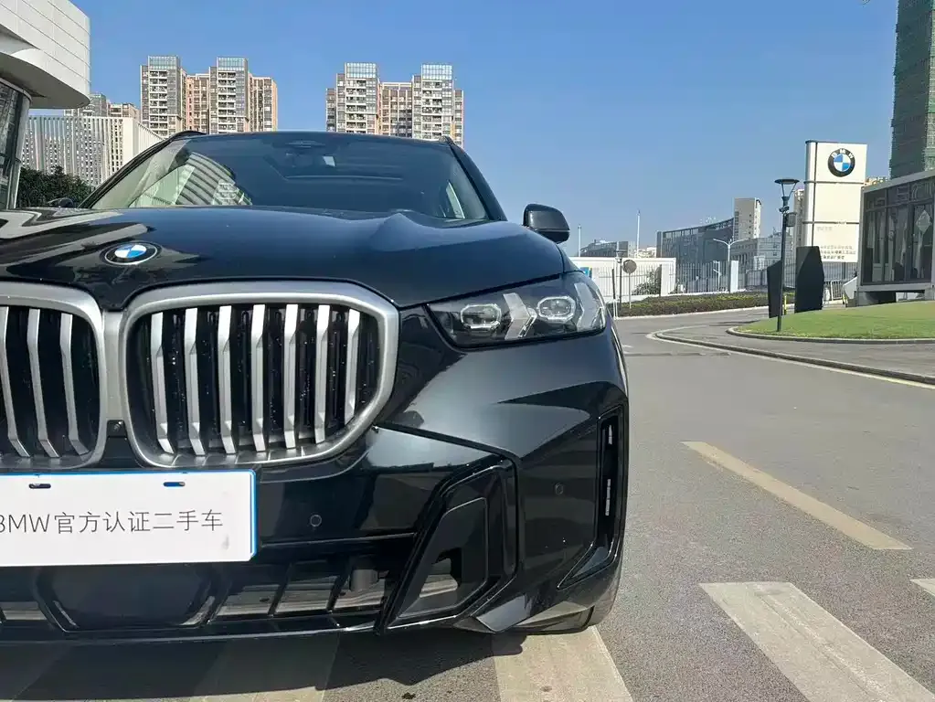 BMW X5 2025 из CN, фото 6