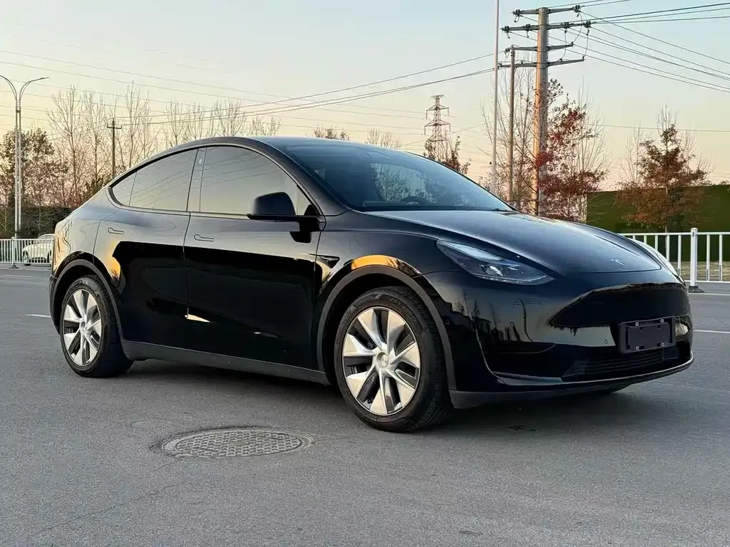 Tesla Model Y 2022 из CN, фото 7