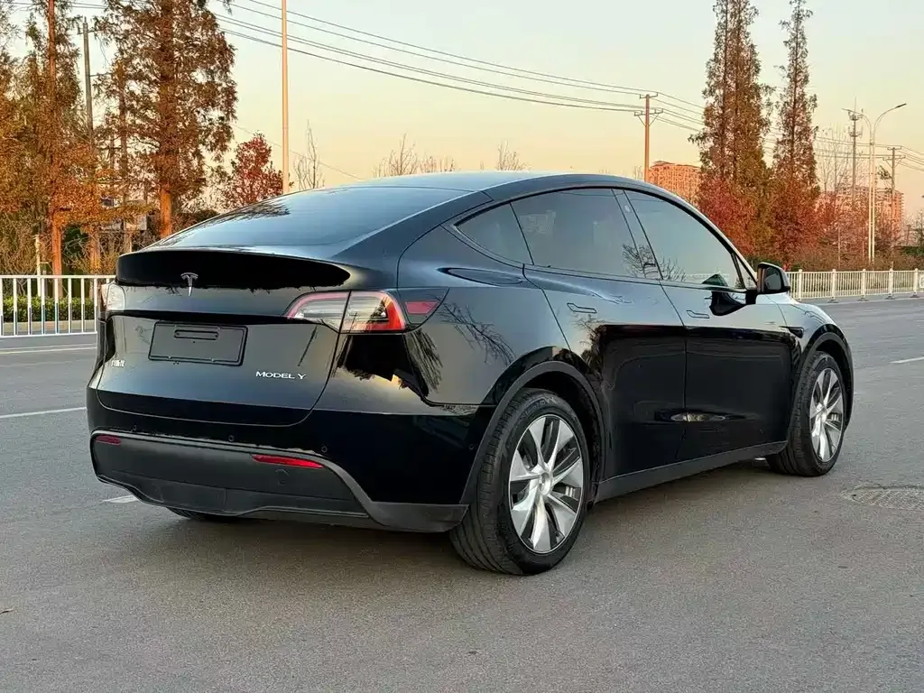 Tesla Model Y 2022 из CN, фото 6