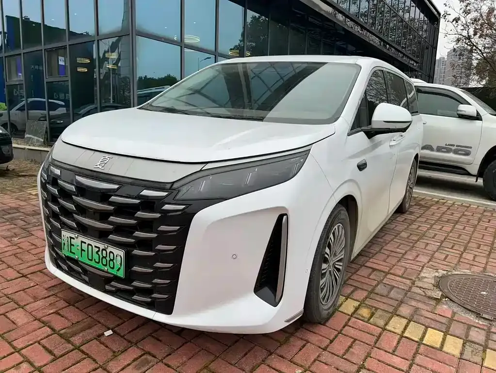 BYD Xia 2025 из CN, фото 1
