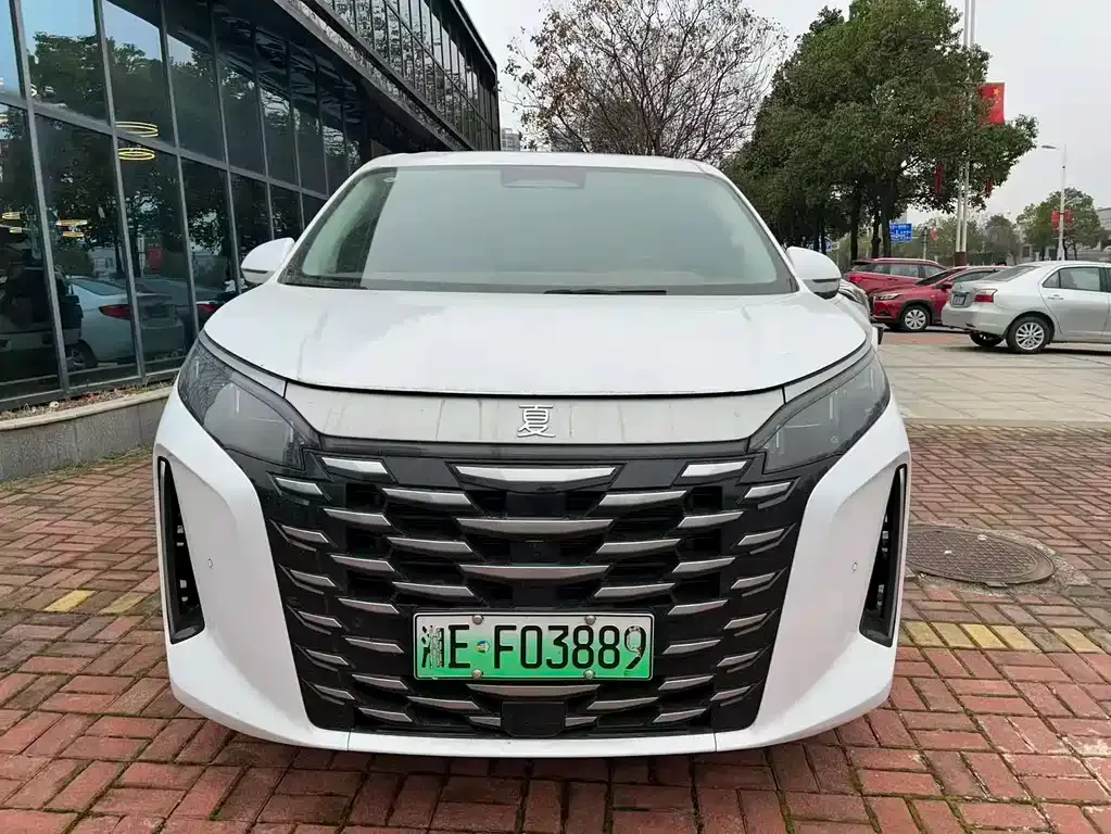 BYD Xia 2025 из CN, фото 3