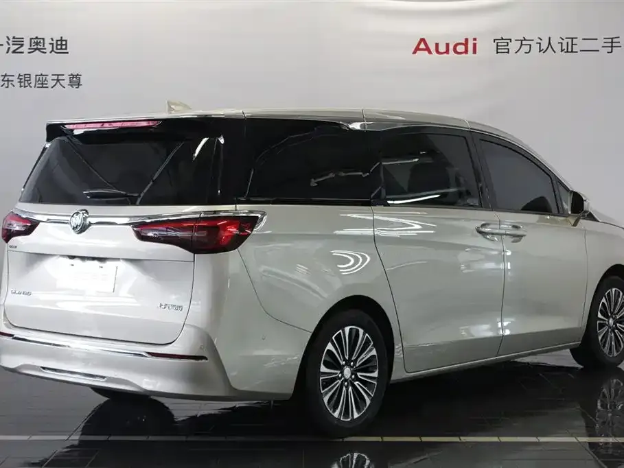 Buick GL8 2021 из CN, фото 10