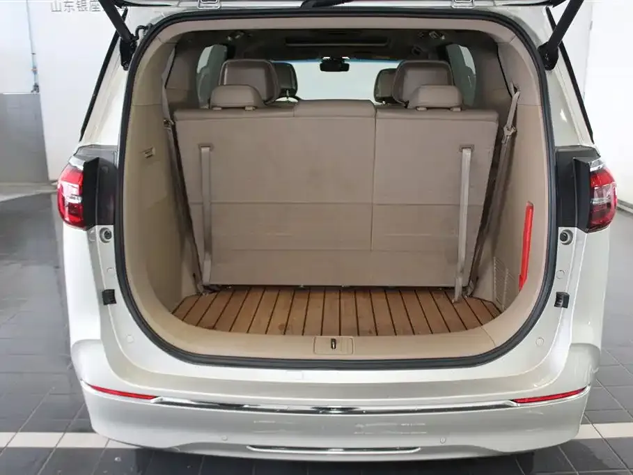 Buick GL8 2021 из CN, фото 9