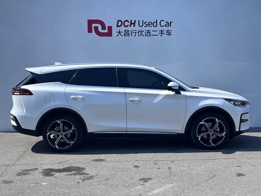 BYD Tang New Energy — фото 4