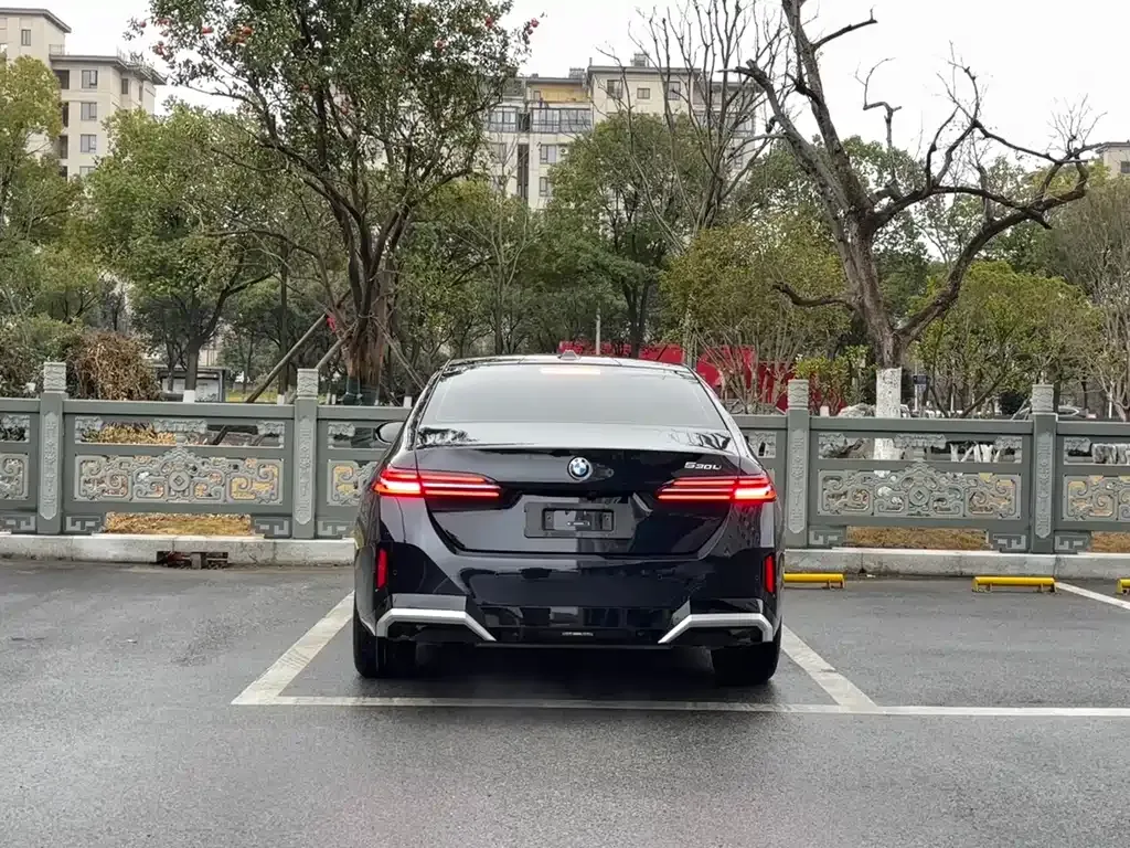 BMW 5 Series 2024 из CN, фото 10