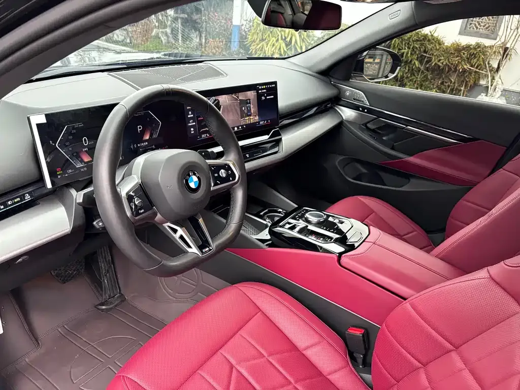 BMW 5 Series 2024 из CN, фото 9