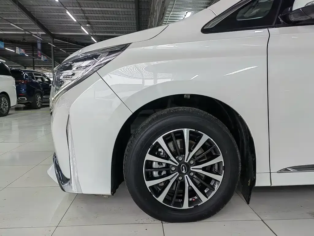 GAC Motor Trumpchi M8 — фото 6