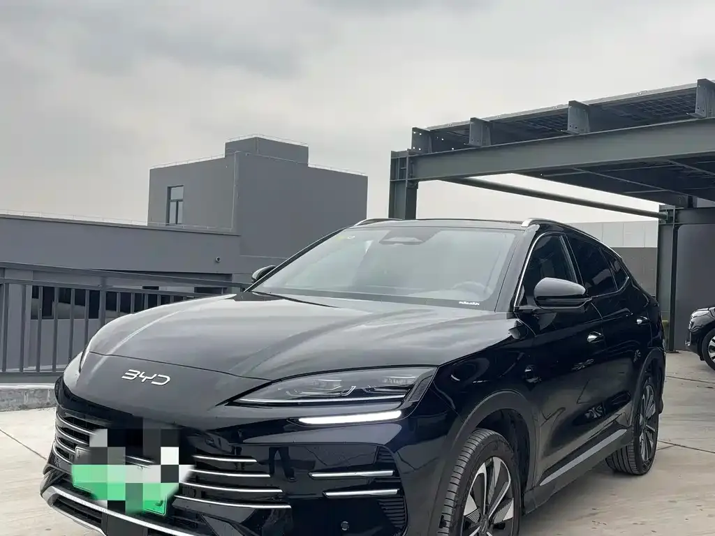 BYD PLUS New Energy — фото 1
