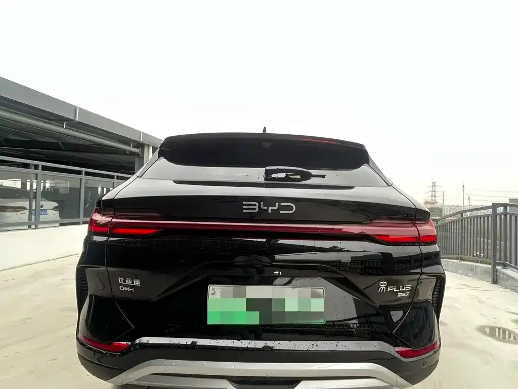 BYD PLUS New Energy — фото 5