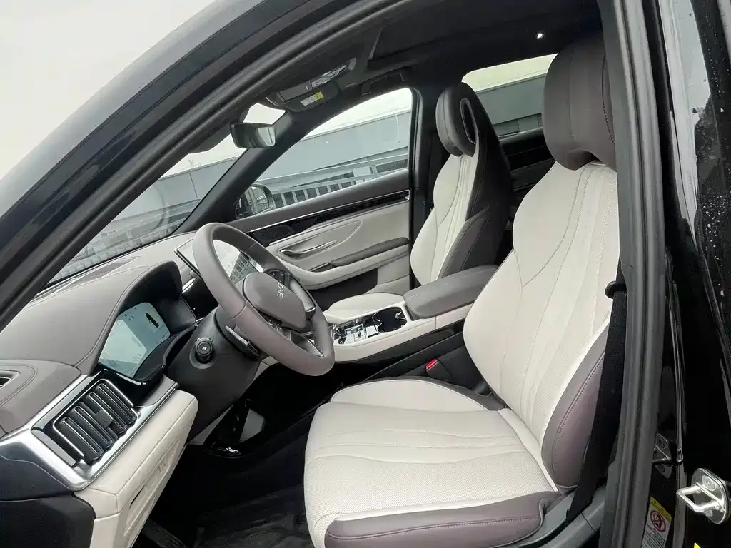 BYD PLUS New Energy — фото 8