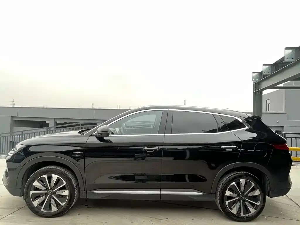 BYD PLUS New Energy — фото 6