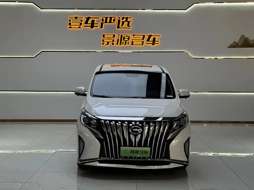 GAC Motor Trumpchi M8 2021 из CN, фото 8